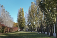 Parc Central.